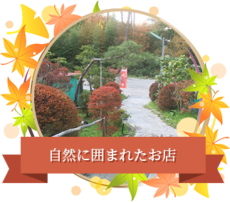 自然に囲まれたお店
