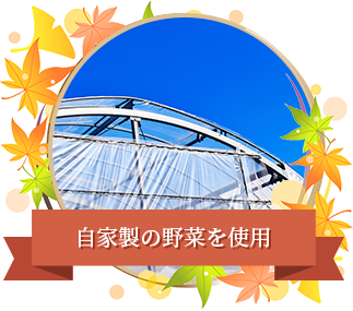 自家製の野菜を使用