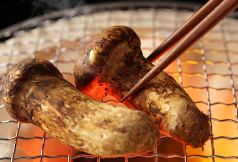焼き松茸